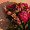 jasminegarci839
